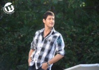 Dookudu Guruvaram8